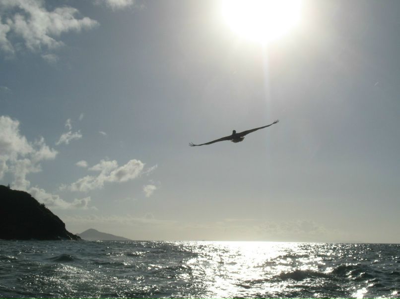 Ирина Сафиуллина | Москва