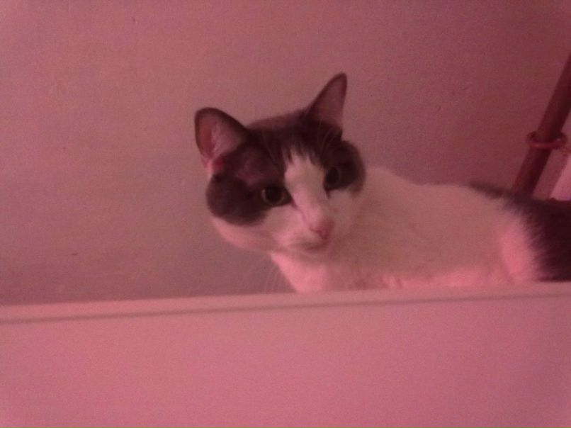 Ирина Калинина Ивановна | Ижевск