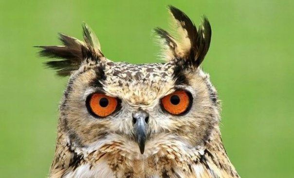 №83, Марат Исламов, Уфа №83, Марат Исламов, Уфа