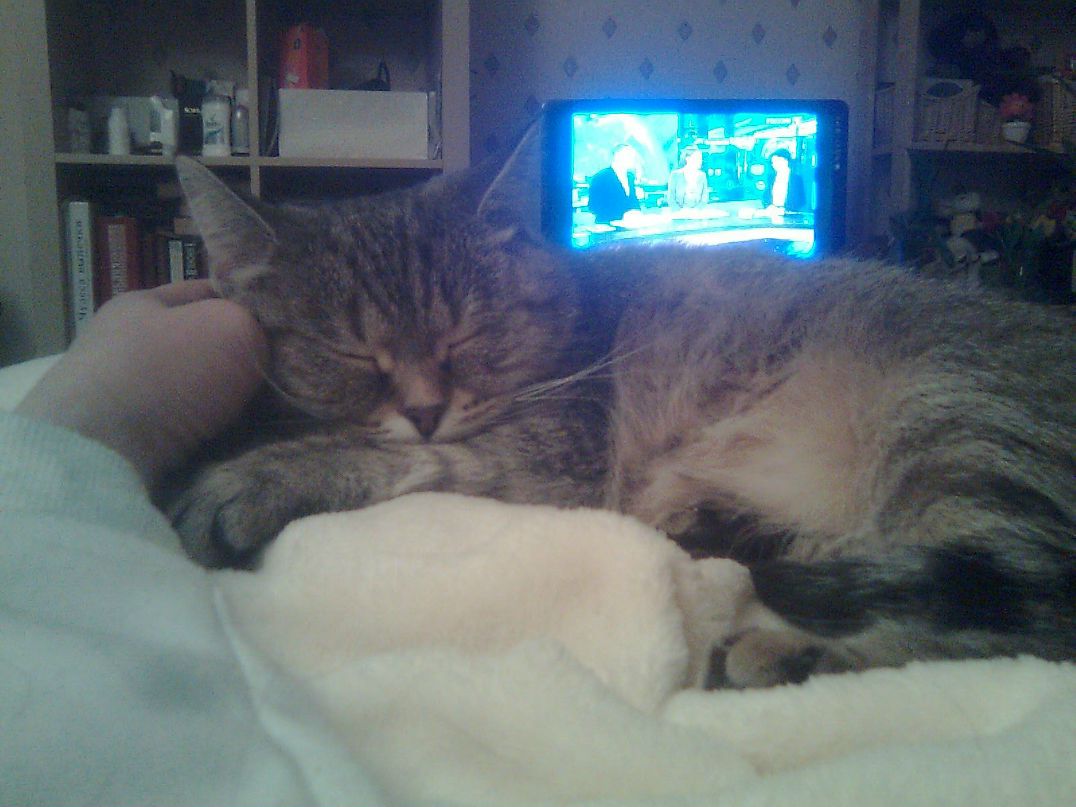 Svet Икс | Москва