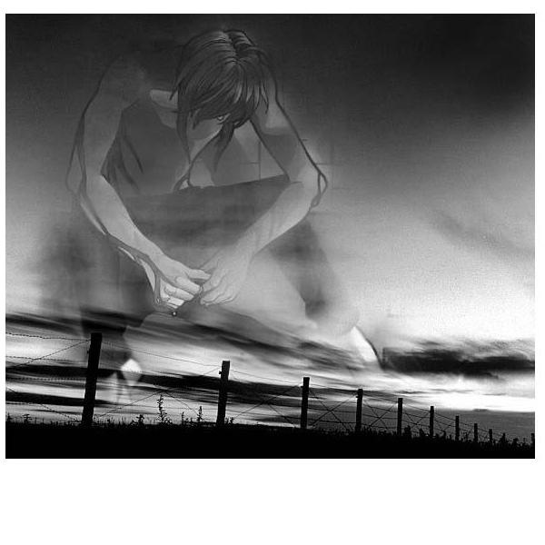 №7, Furball Cat №7, Furball Cat