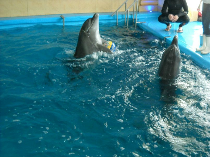 Танюха Безпальчая | Сумы