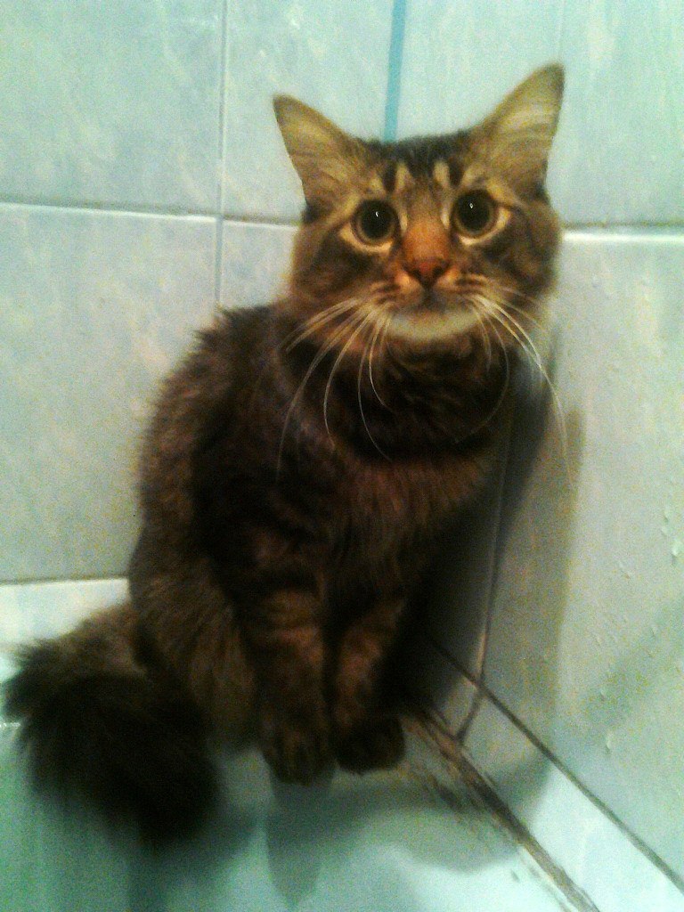 Анастасия Широчина | Минск