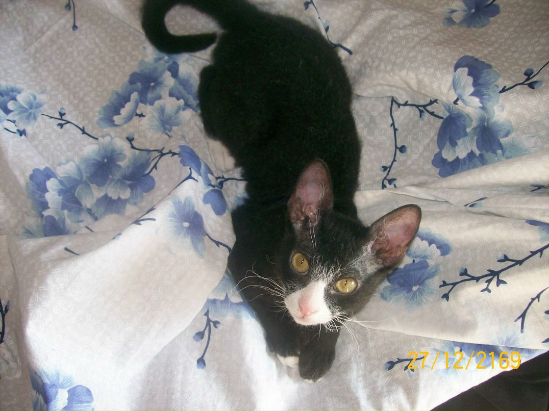 Александра Крепкая ˜”*°• ⎛★ ⎝⏜⏝ ⏜⎠★⎞ .•°*”˜ | Киев