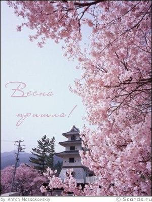 Зоя Шестовская | Запорожье