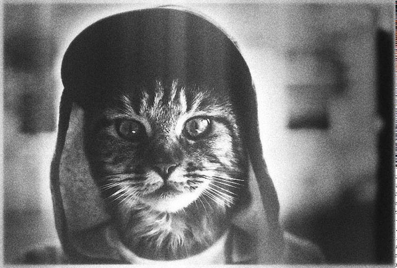 Gulnara Belokurova a.Lisa | Berlin