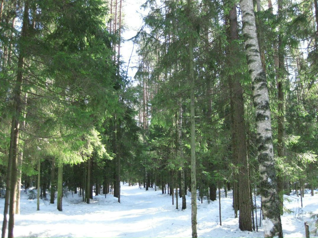 Анна Хардова | Санкт-Петербург