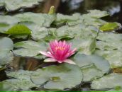 №20 Лилия Латфуллина : профиль, фото, статус - ВКонтакте №20 Лилия Латфуллина : профиль, фото, статус - ВКонтакте