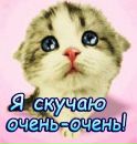 №27 Марина Лепешкова : профиль, фото, статус - ВКонтакте №27 Марина Лепешкова : профиль, фото, статус - ВКонтакте
