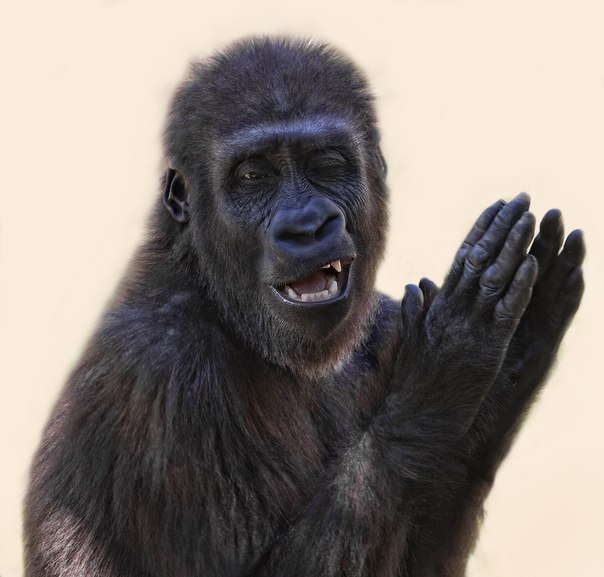 Iryna Kasabutskaya | Слуцк