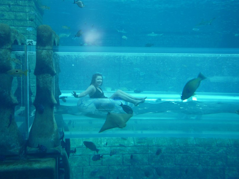 Евгения Тетерева | Москва