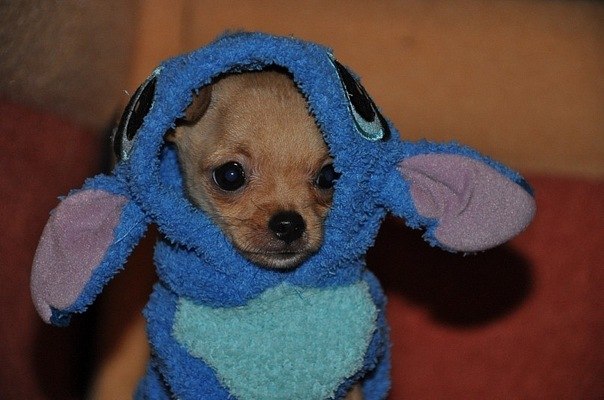 Вова Ничипорчук ツ ツ ツ | Горишние Плавни / Комсомольск