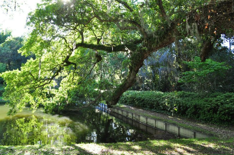 Виктория Богданова | Atlanta