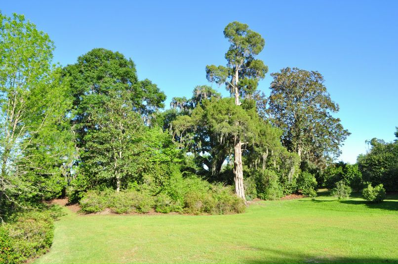 Виктория Богданова | Atlanta