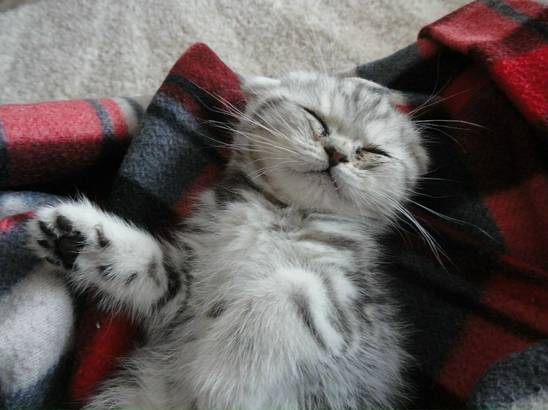 Юлия Лукьянова | Самара