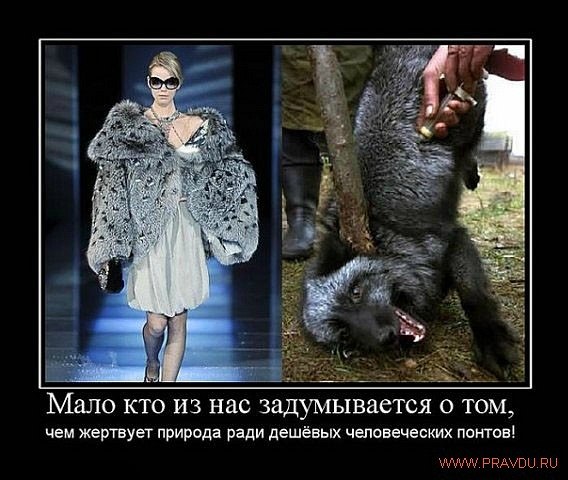 Димон Ухо angy | Череповец