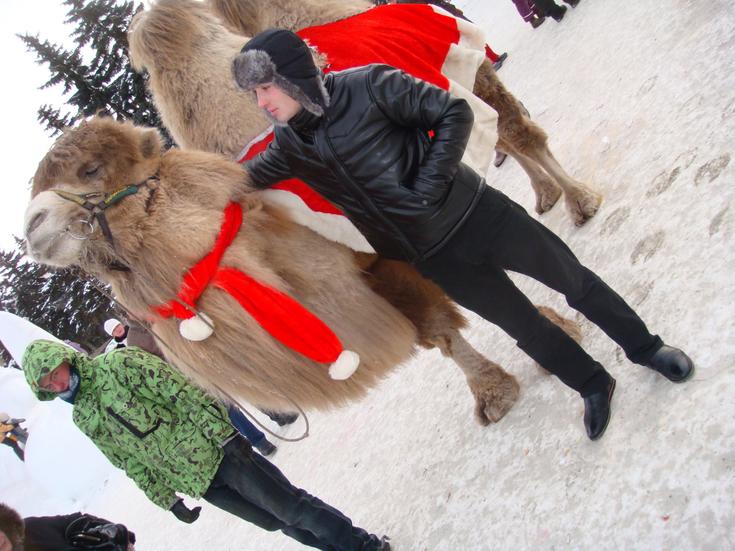 Фото профиля