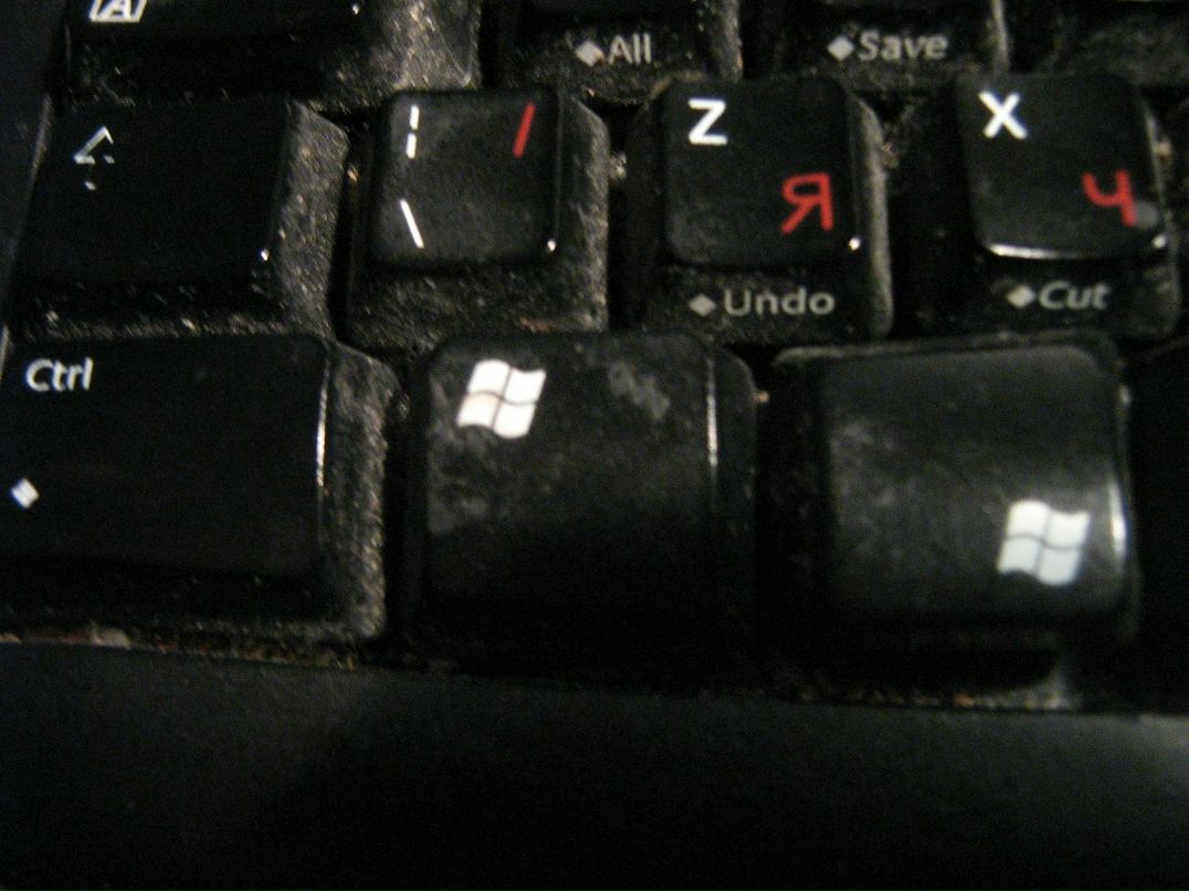 Александр Мосягин | Санкт-Петербург