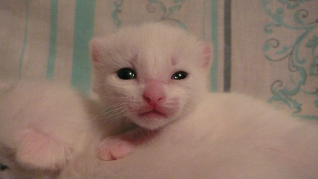 №115, Мария Саматова, 38 лет №115, Мария Саматова, 38 лет