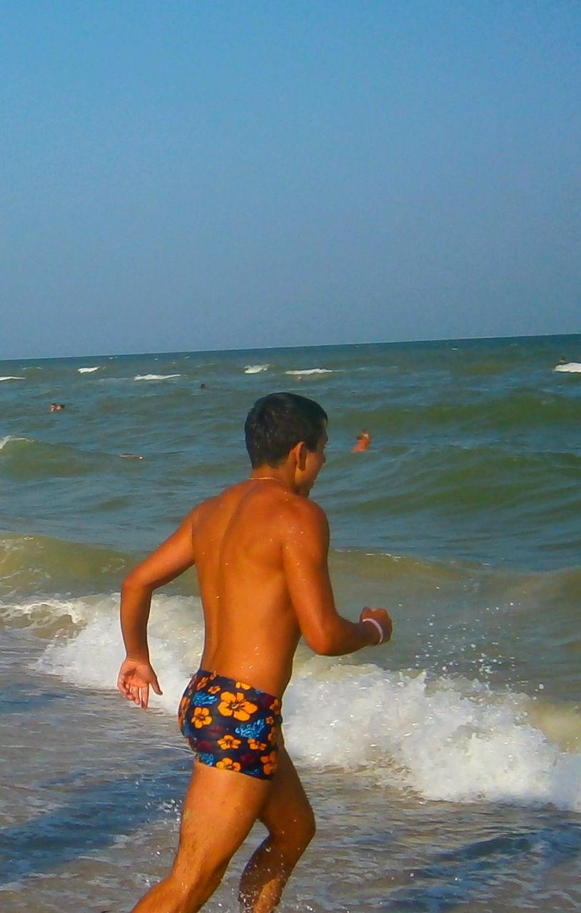 Алексей Семенов | Приволье