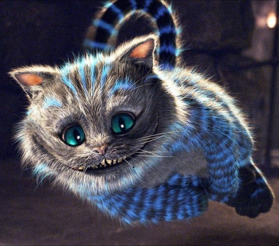 Роман Чербаев | Сургут