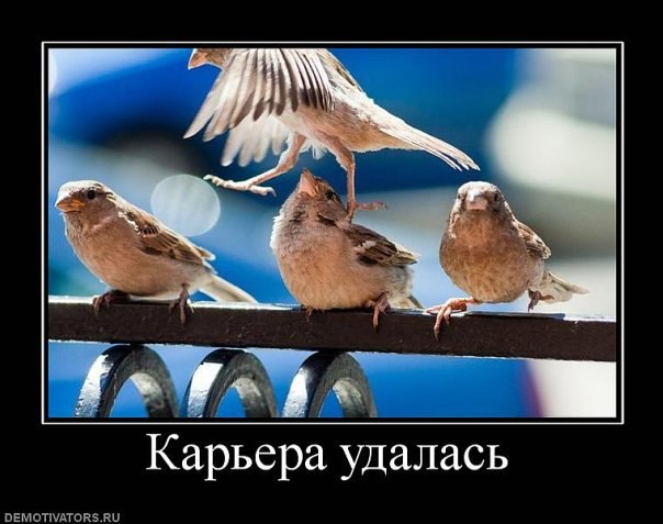 Ольга Макарова | Астрахань