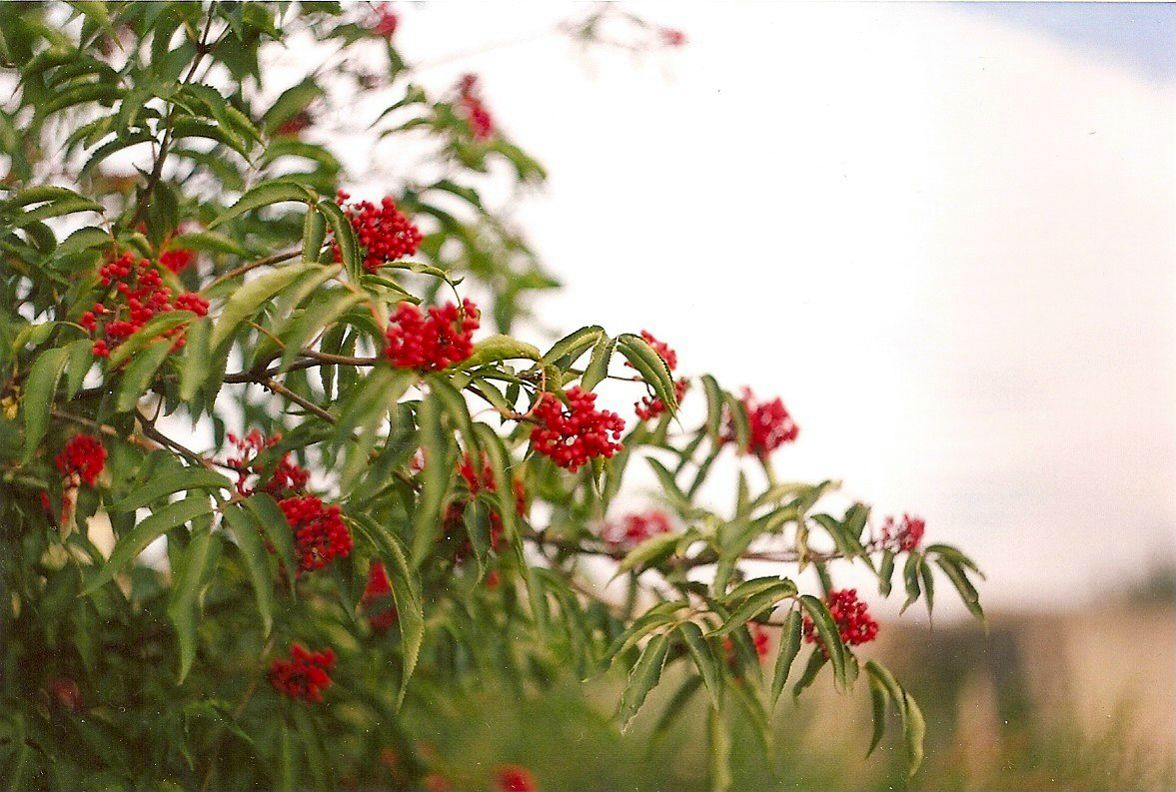 Юлия Сорокина | Москва