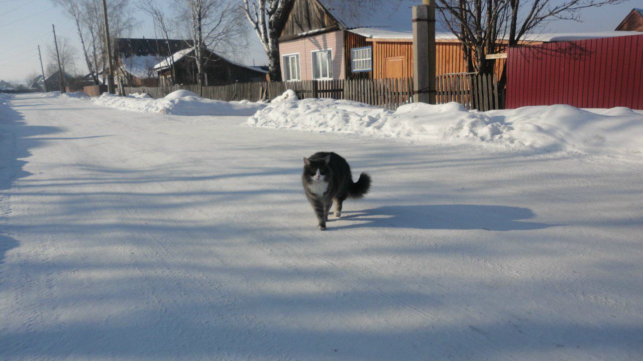 Екатерина Сырохватова | Пермь