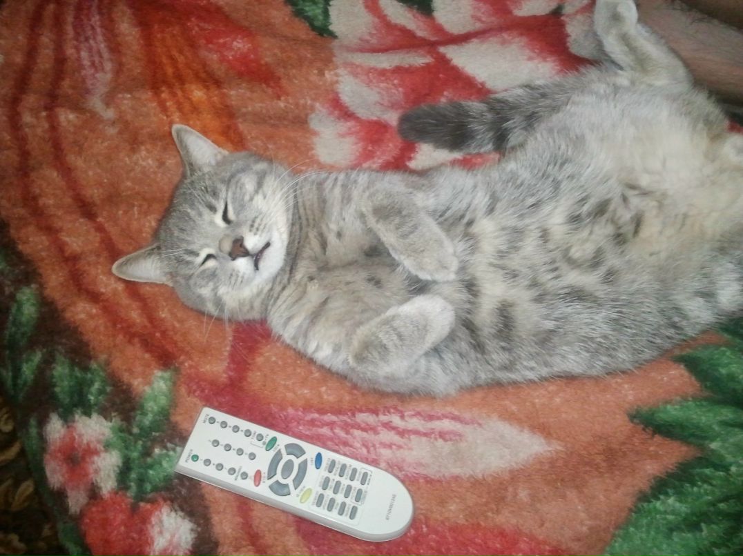 Дмитрий Савенок | Москва