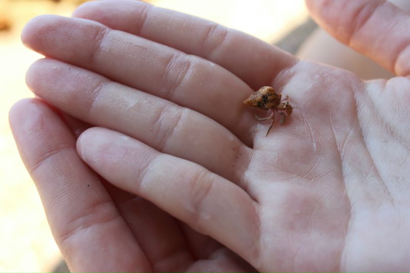Юля Родионова (Eva Toya) | Санкт-Петербург