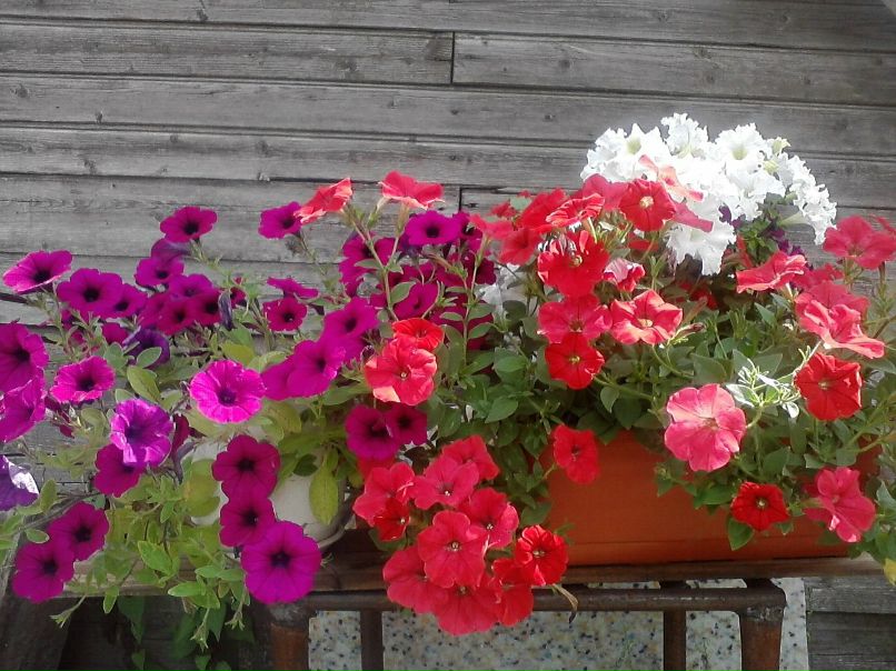 Татьяна Кулакова | Коноша