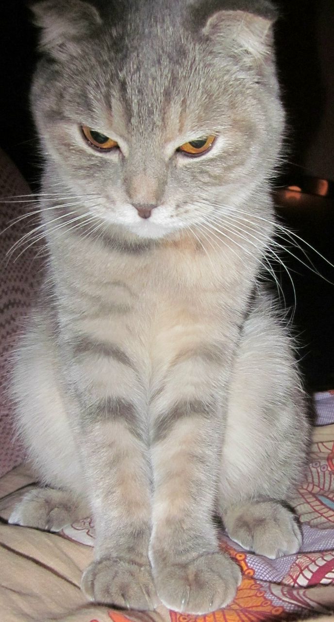 Екатерина Кузина | Домодедово