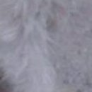 №117, Анюта Котько, 37 лет, Полтава №117, Анюта Котько, 37 лет, Полтава