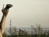 Слава Сысоев ($LAVIK$) | Санкт-Петербург