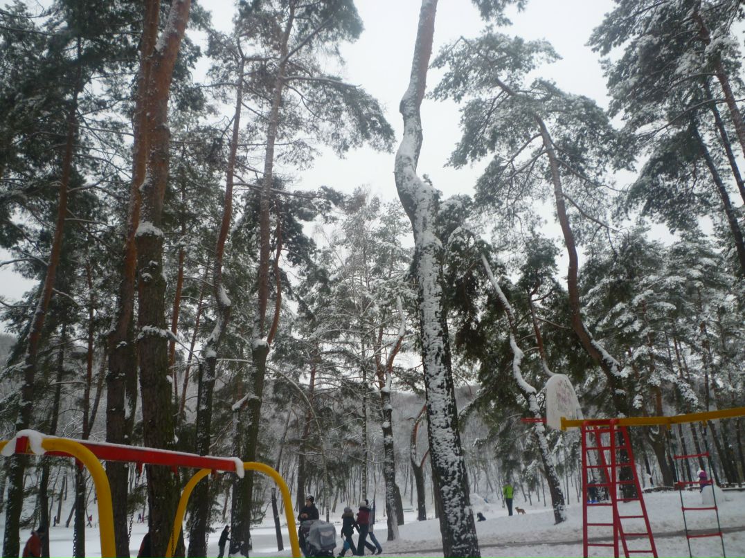 Юлия Мороз | Киев