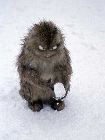 №172, Виталик Смирнов, 37 лет, Москва №172, Виталик Смирнов, 37 лет, Москва