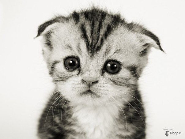 №53, Тигран Багдасарян, Ереван №53, Тигран Багдасарян, Ереван