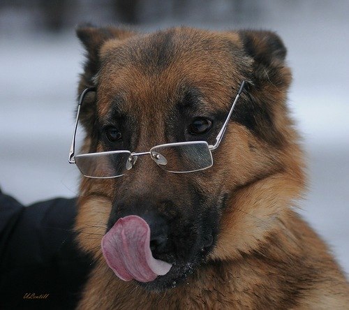 Михаил Зарываев | Санкт-Петербург