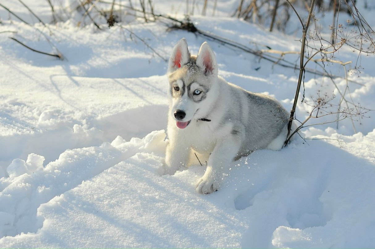 Ася Шторм | Санкт-Петербург