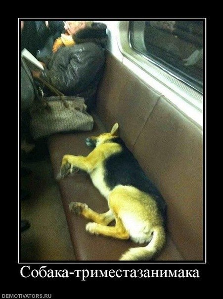 Юлия Коломиец | Москва