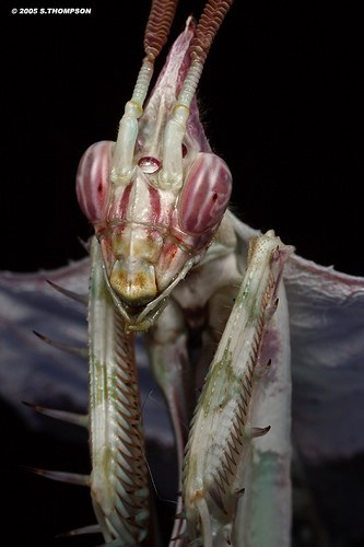 Мария Юмагулова | Москва