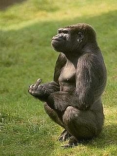 №25, Эдуард Якубович, 40 лет, Ефремов №25, Эдуард Якубович, 40 лет, Ефремов