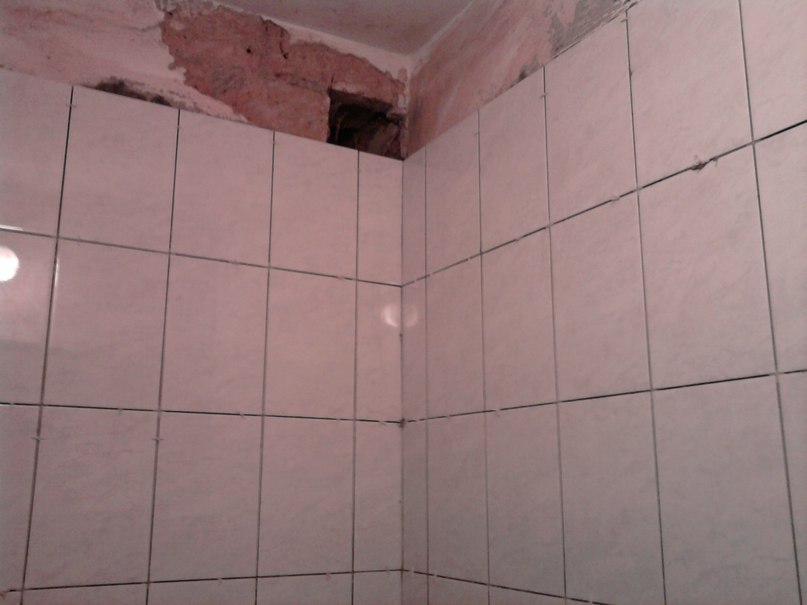 Александр Пальников | Иоссер