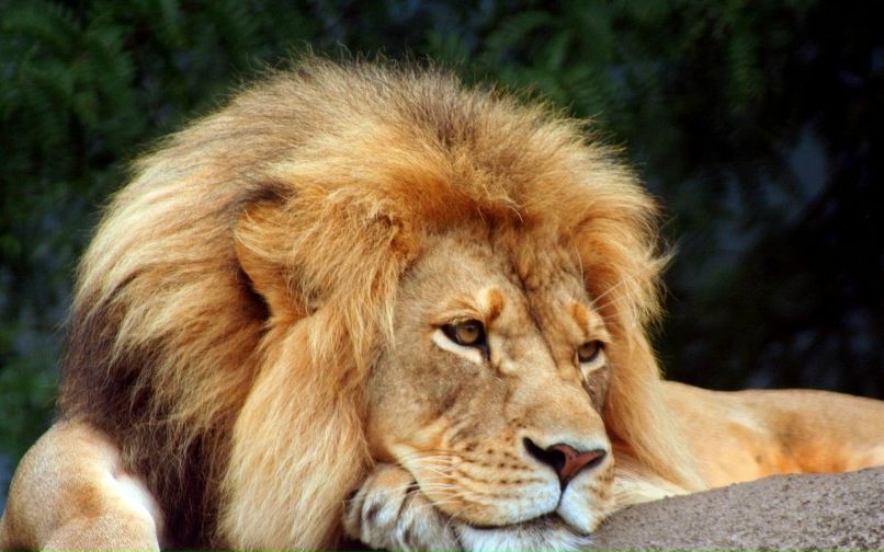 Илья Рассказов | Рязань