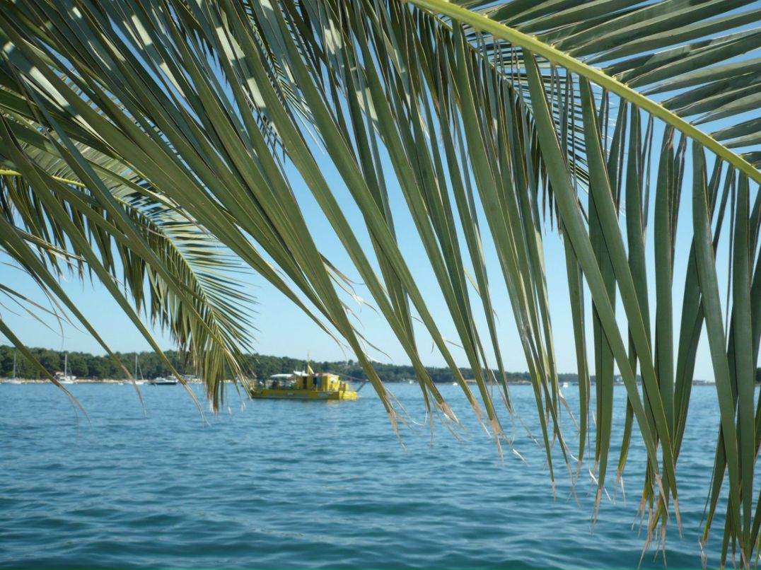 Марина Пергаменщик | Москва