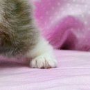 №109, Дениска Одинцов, 40 лет, Луганск №109, Дениска Одинцов, 40 лет, Луганск