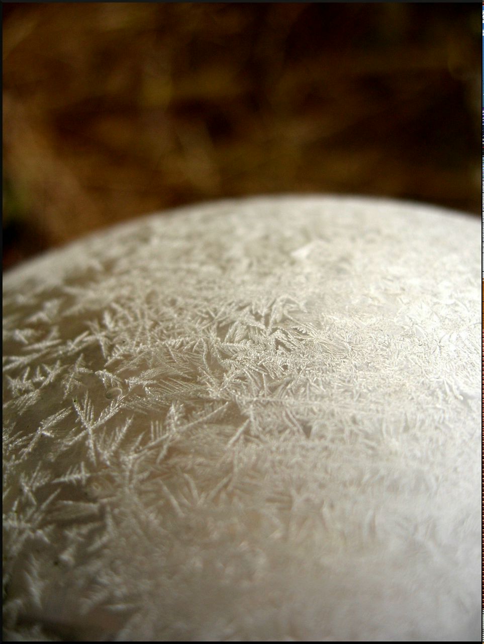 Ольга Калинина | Fürth (Mittelfranken)