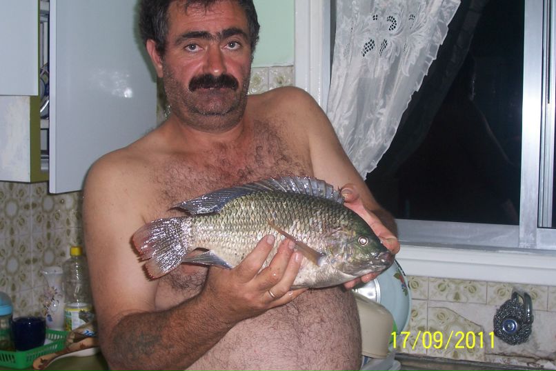 odisseilivad@mail.ru 99565803 | 