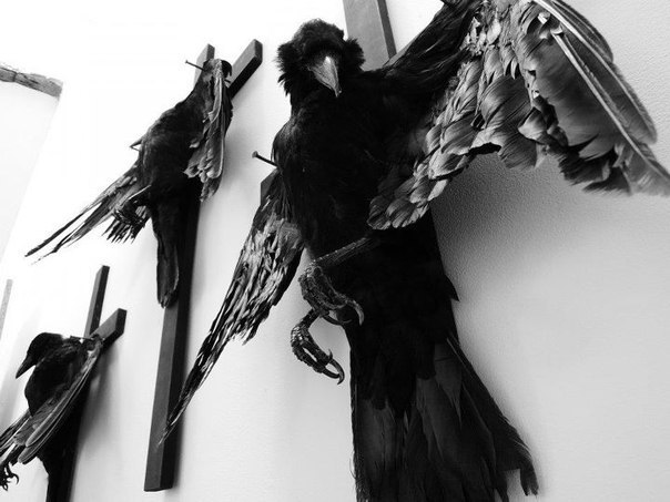 Том Sawyer | Джалал-Абад