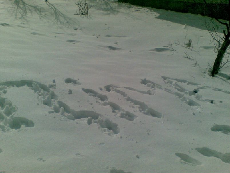 №40, Dimon Derevyanchuk, 32 года, Переяслав-Хмельницкий №40, Dimon Derevyanchuk, 32 года, Переяслав-Хмельницкий